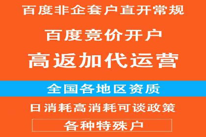 信息流广告精准投放：成功案例展示